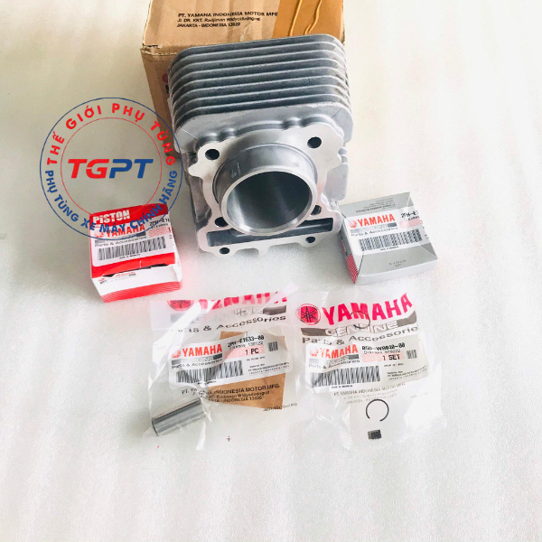 Bộ nòng piston bạc Janus, Grande, Acruzo, Mio M3 - 2PH-E1311-10