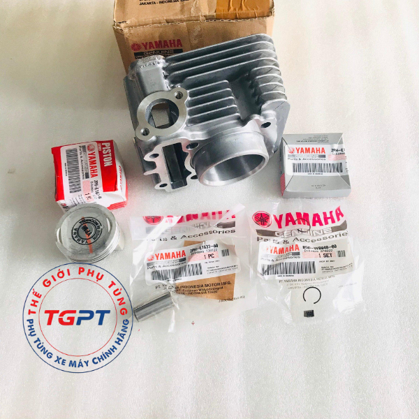Bộ nòng piston bạc Janus, Grande, Acruzo, Mio M3 - 2PH-E1311-10