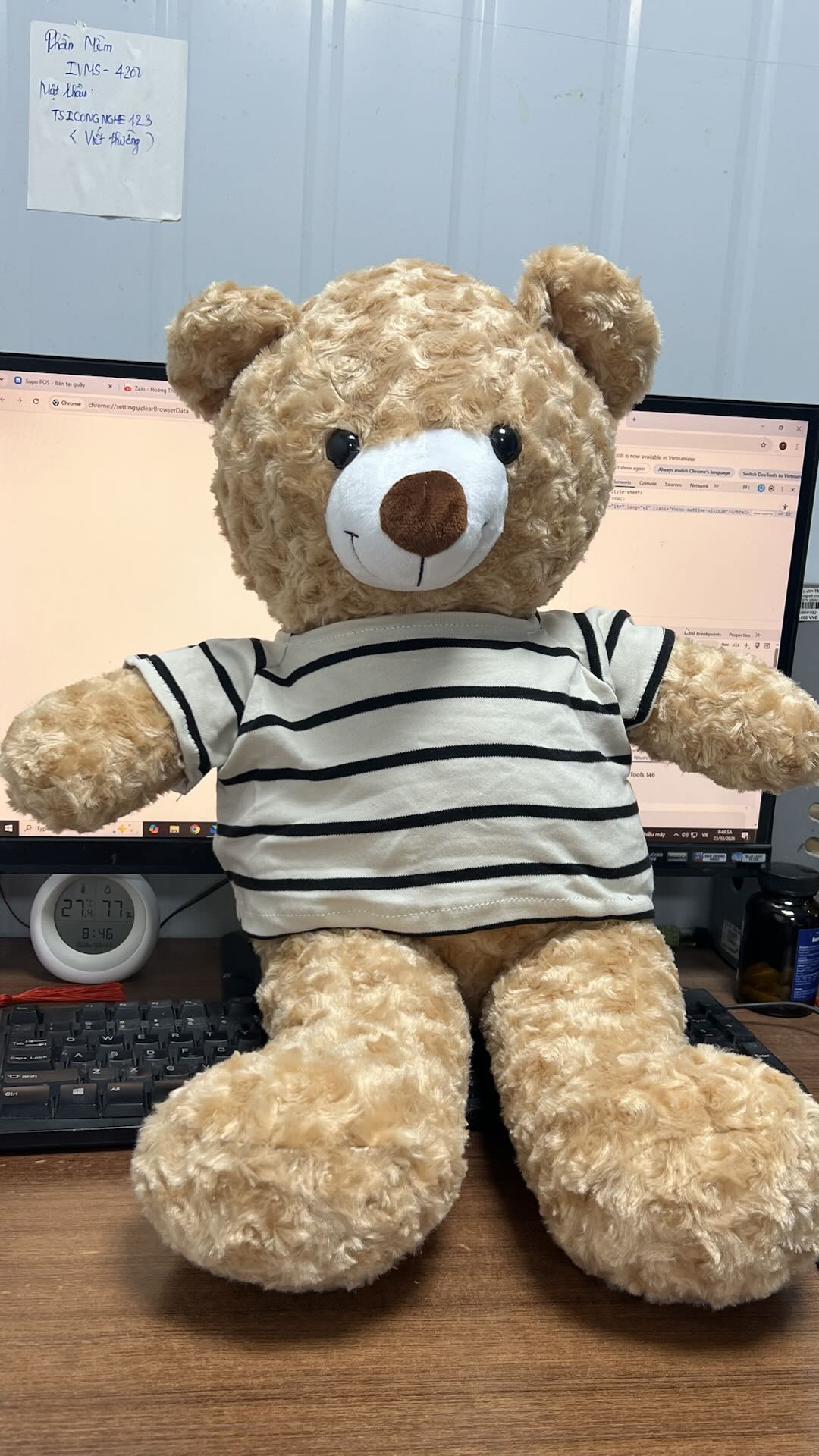 Thú bông gấu Teddy ngồi mặc áo