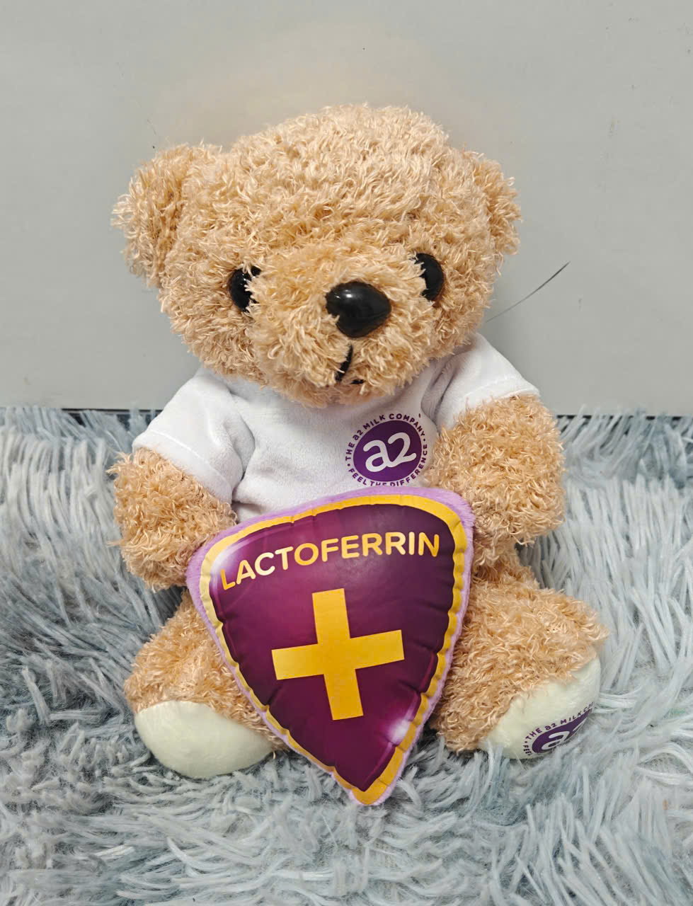 Thú bông gấu A2 Lactoferrin