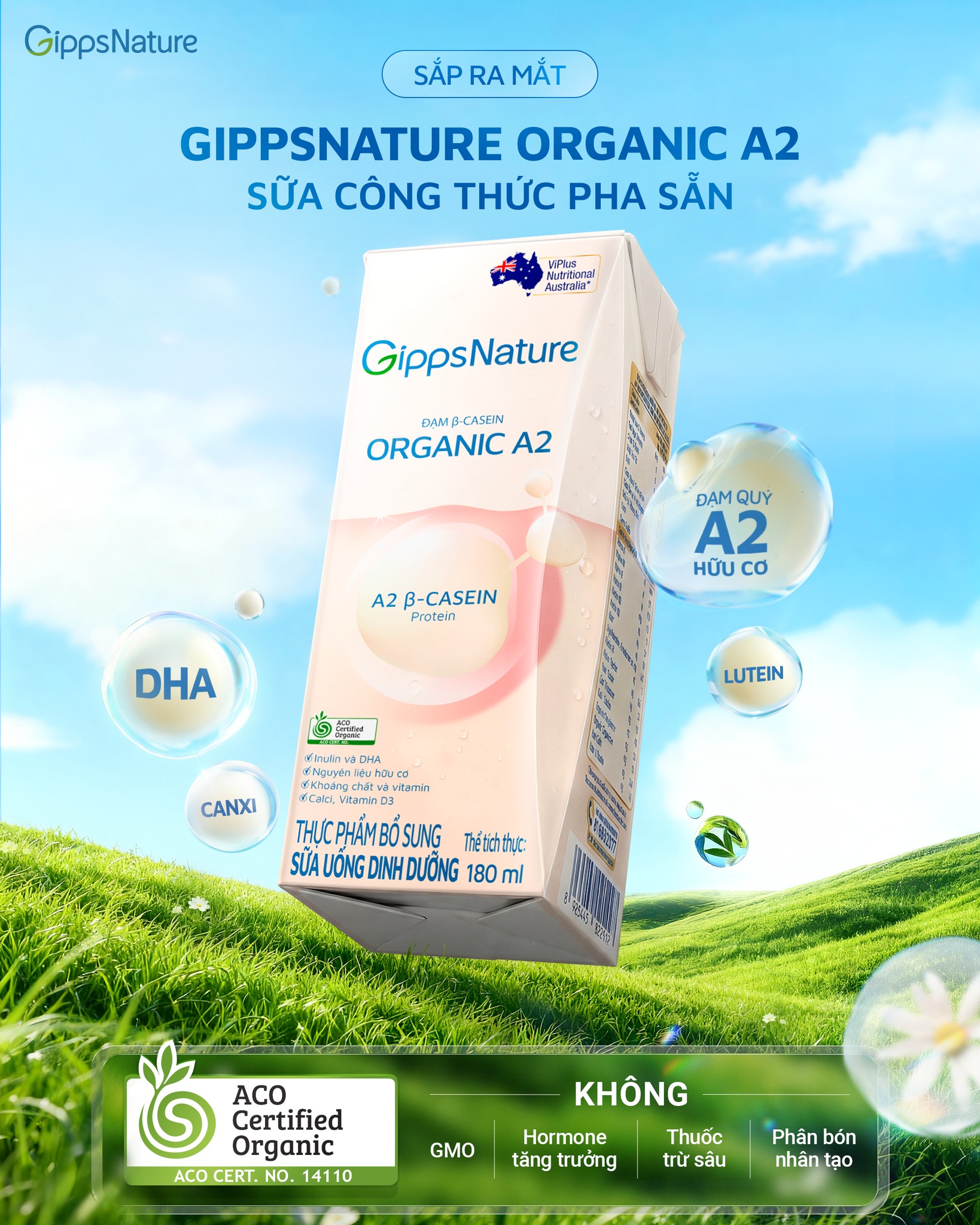 Hộp- SUDD GIPPSNATURE ORGANIC A2 H110MLX24