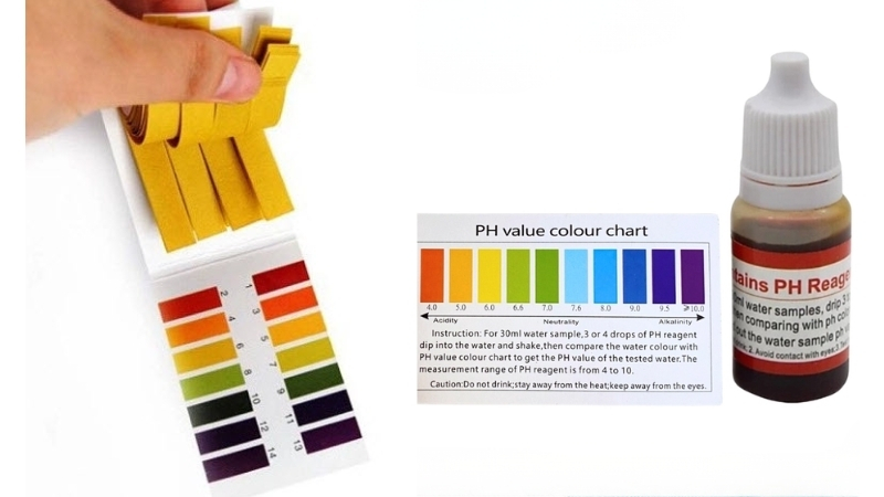 Quỳ tím và thuốc thử