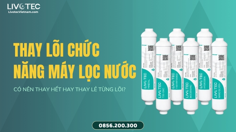 Thay lõi chức năng máy lọc nước Livotec