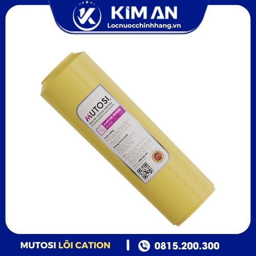 Lõi lọc số 2 - Lõi Cation