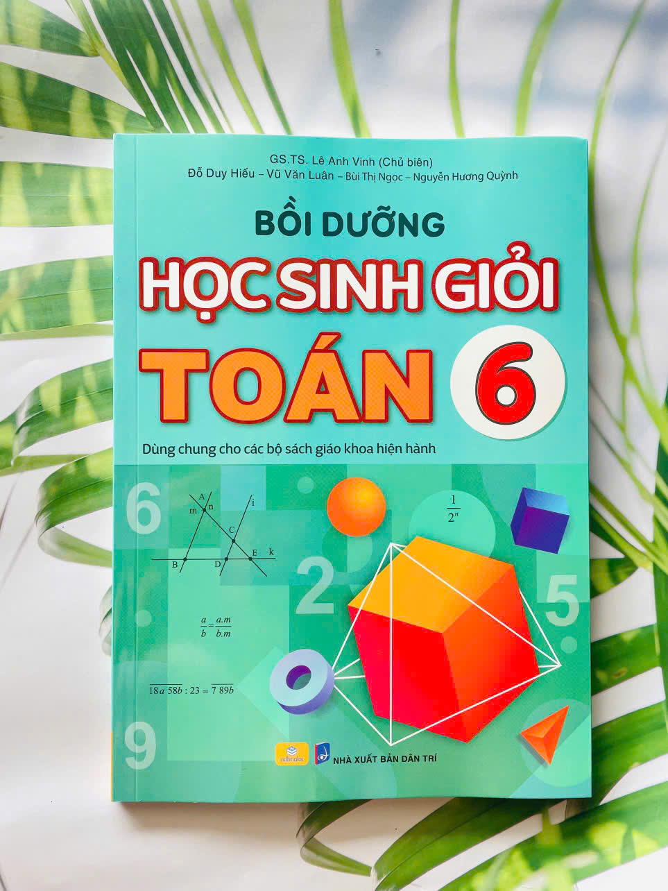 Bồi dưỡng học sinh giỏi toán lớp 6