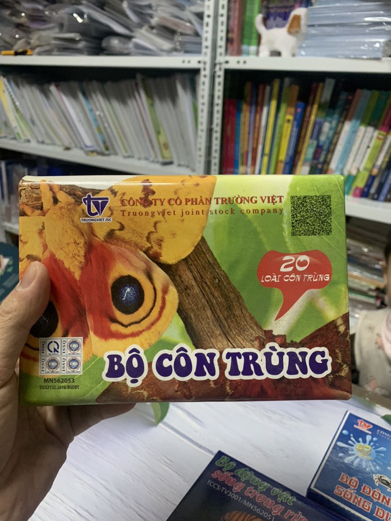 Bộ tranh có gắn đế côn trùng