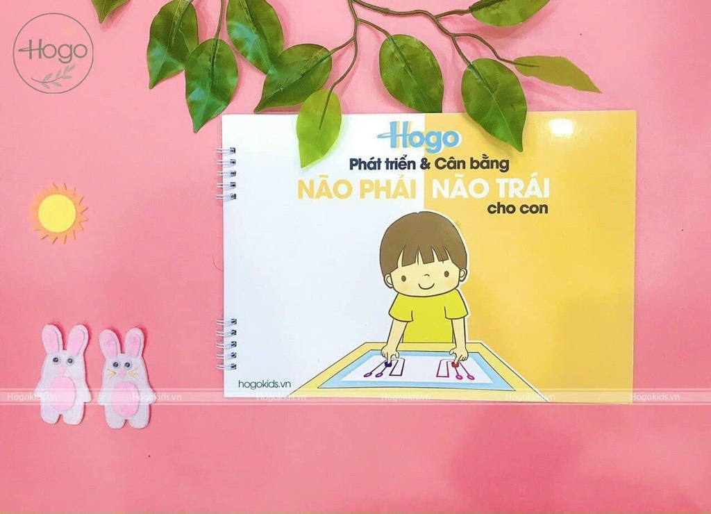 Sác rèn luyện cân bằng não phải não trái