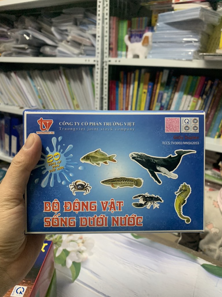 Bộ tranh có gắn đế động vật dưới nước