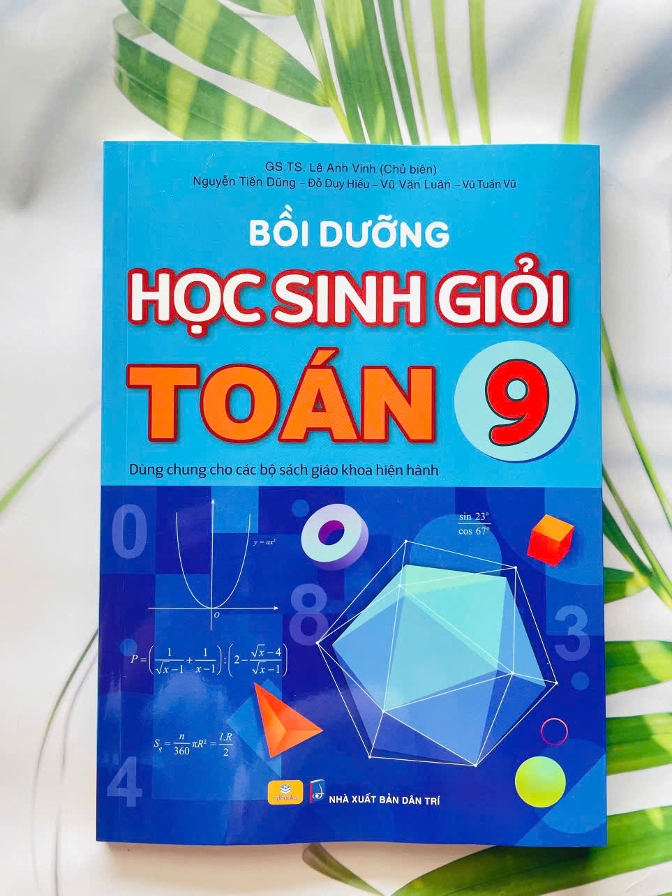 Bồi dưỡng học sinh giỏi toán lớp 9