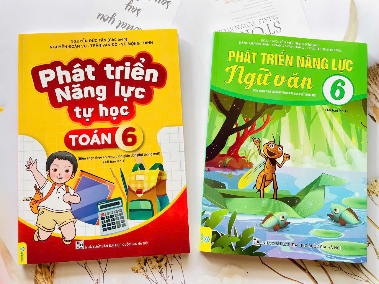 CB 2q Phát triển năng lực toán + ngữ văn lớp 6