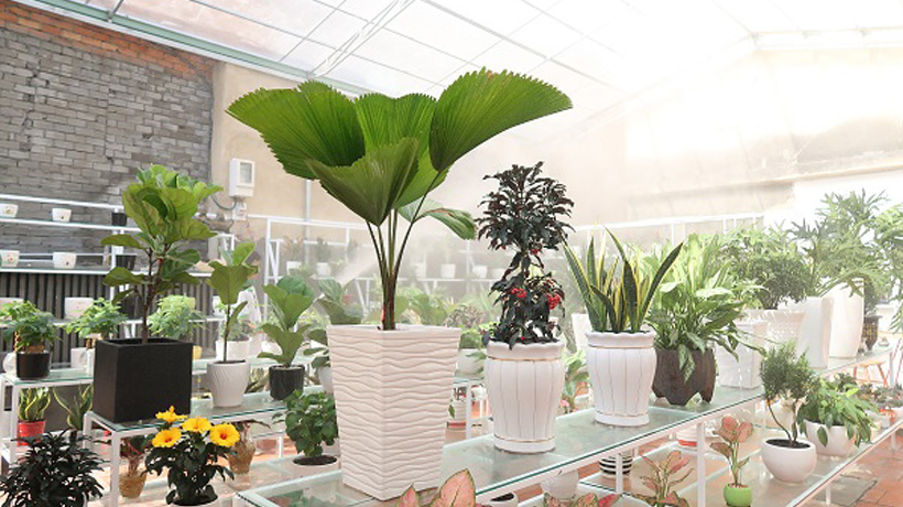 Tươi Mới Mỗi Ngày