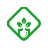 Bean Garden