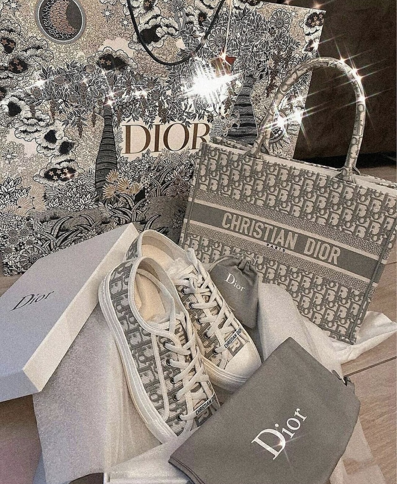 Túi Dior large Oblique Embroidery Tote (Grey) [Mirror Quality]