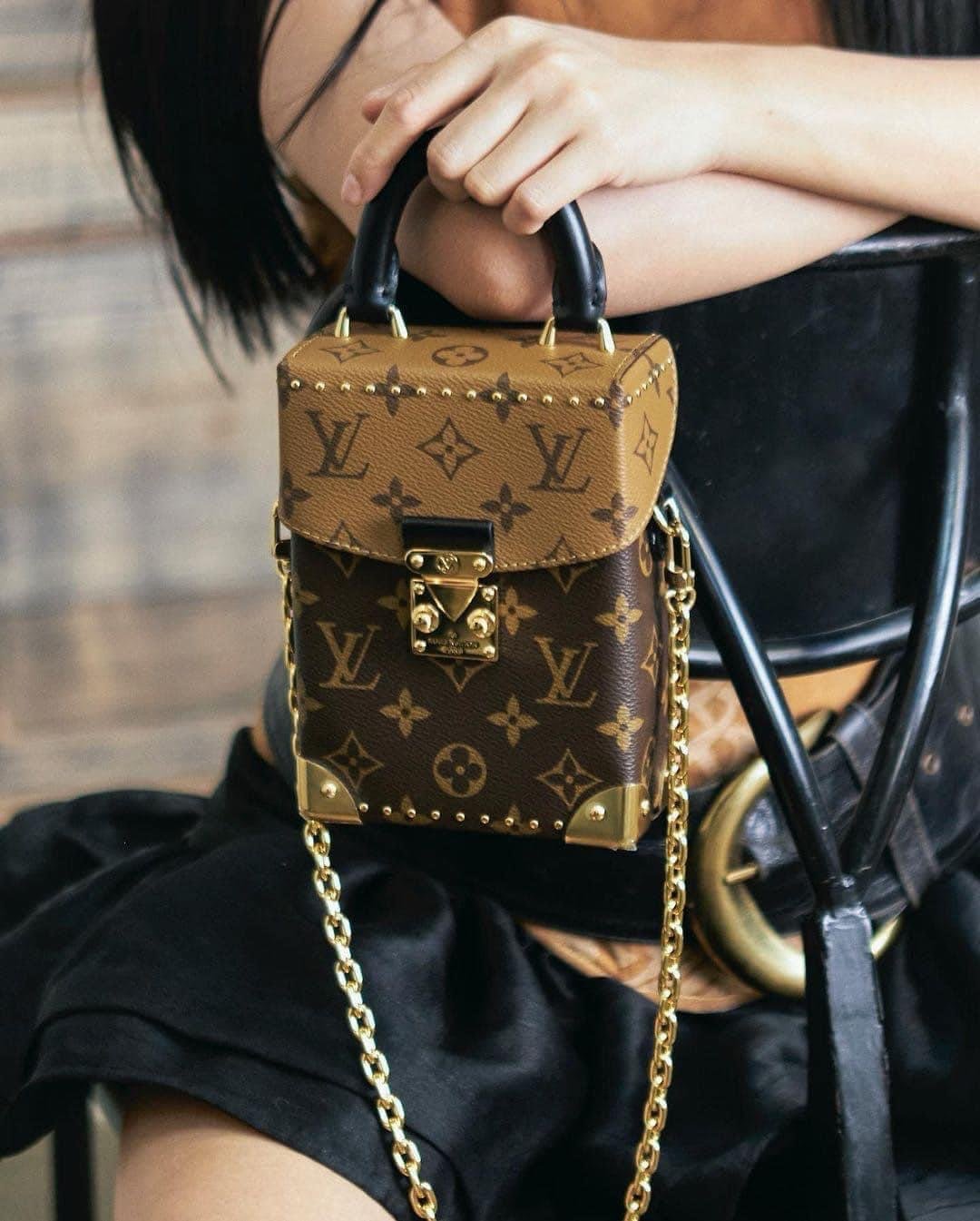 Túi Louis Vuitton Camera Box Monogram (Brown) [Mirror Quality]
