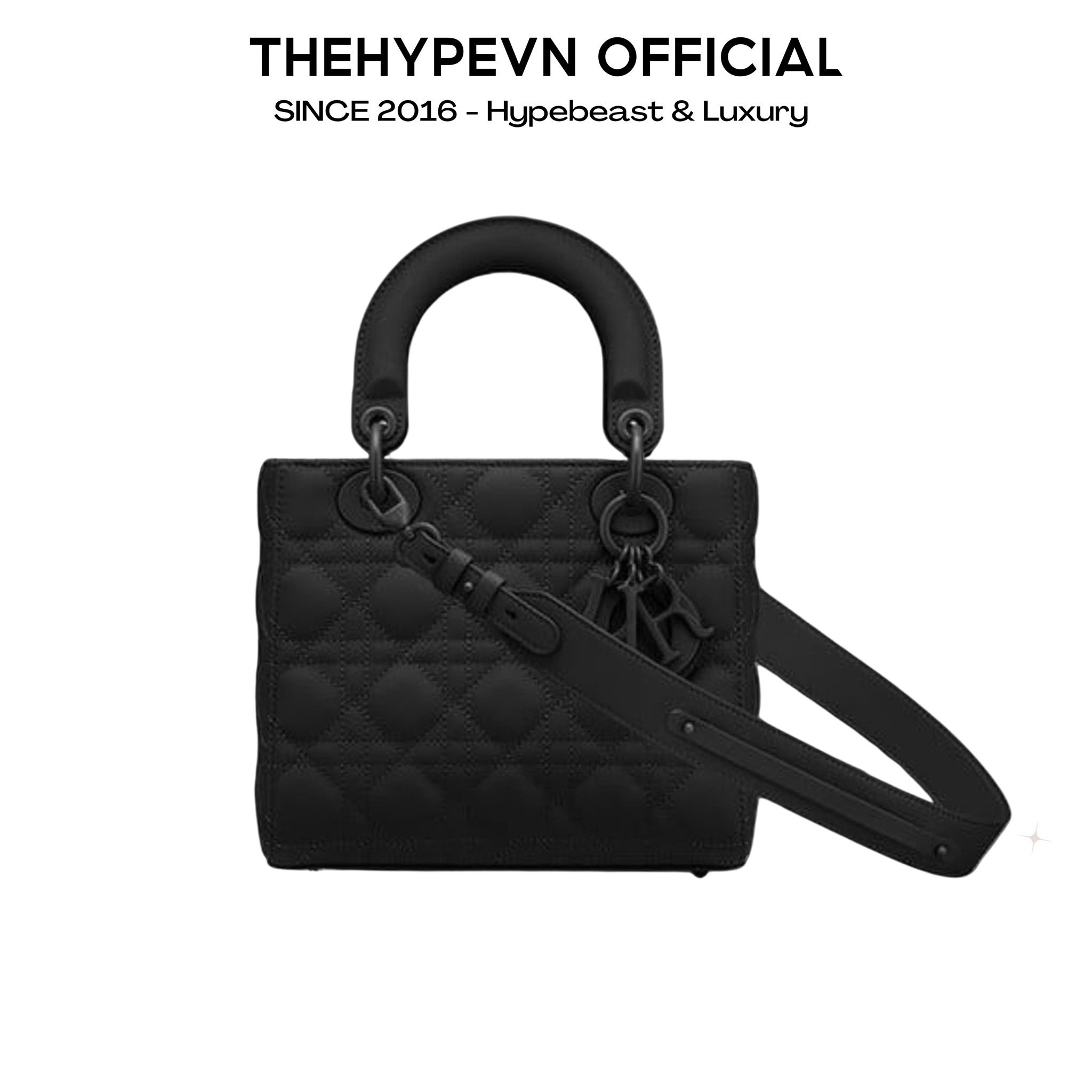 DIOR BAG - Túi Dior Lady ABCDior Ultramatte (Black) [Mirror Quality]