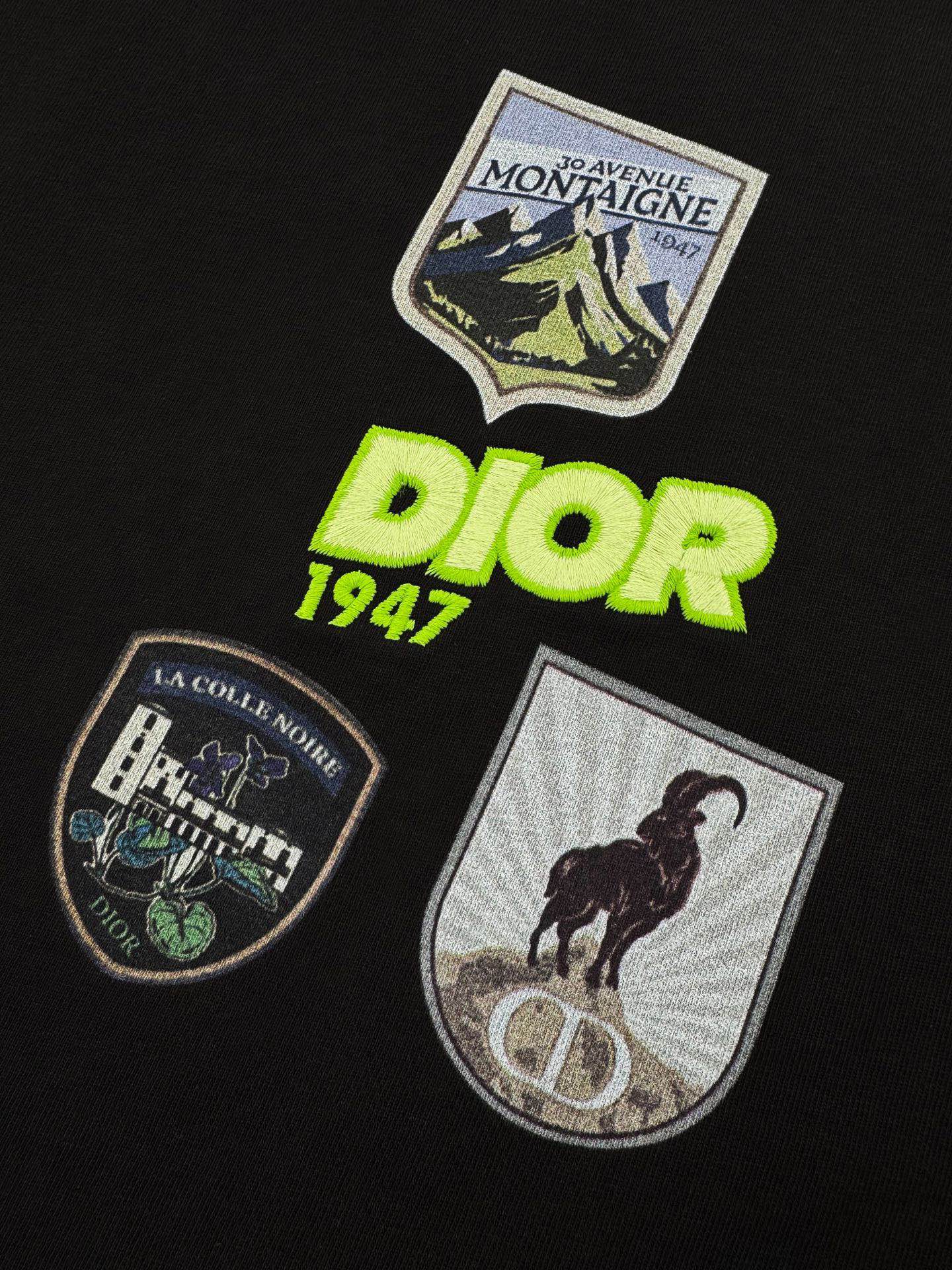 ÁO THUN DIOR MOUNTAIN (BLACK)