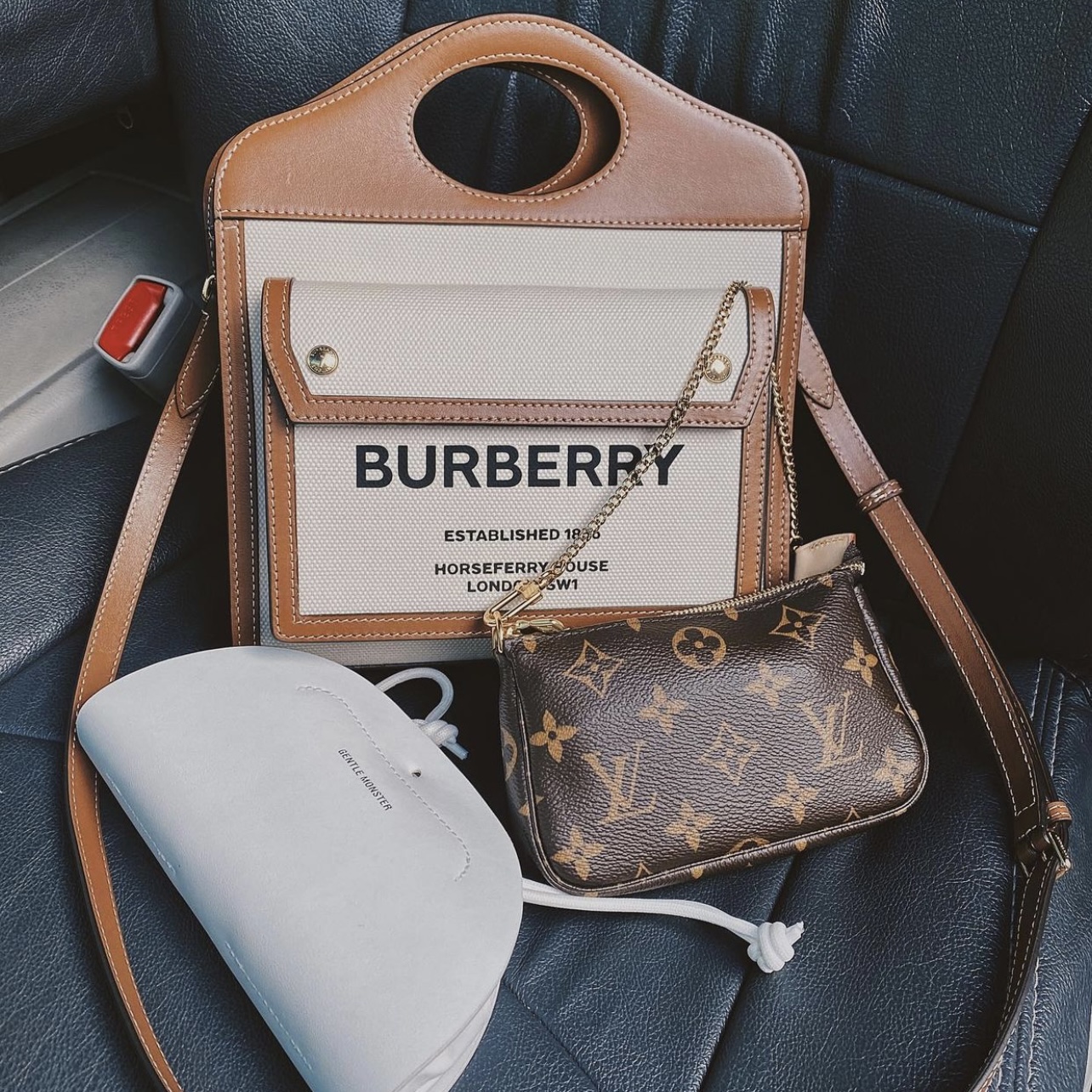 Túi Burberry Pocket Mini Two Tones Canvas & Leather [Mirror Quality]