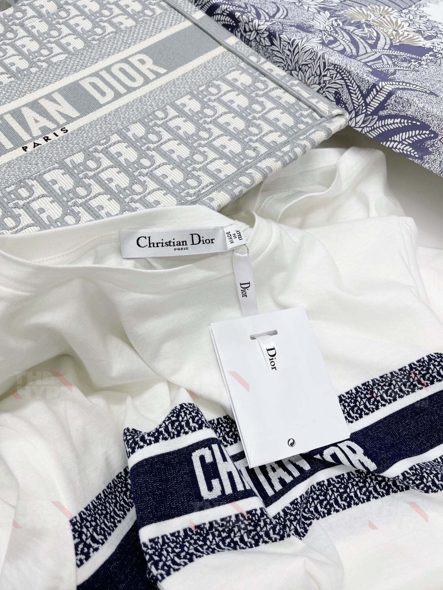 DIOR TEE - Áo Dior Blue Cotton Jersey (White) [Mirror Quality]