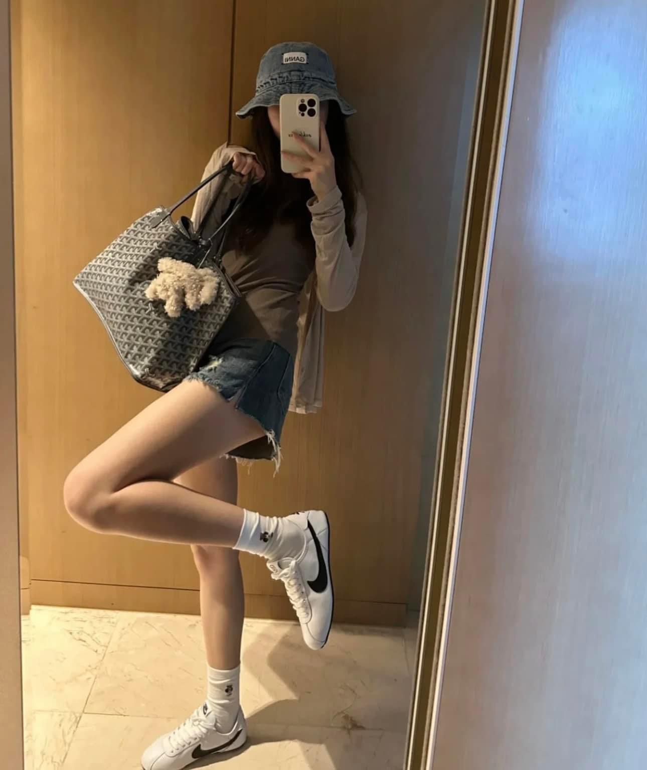 GOYARD BAG Túi Tote Goyard Bohème Hobo (Grey) [Mirror Quality]