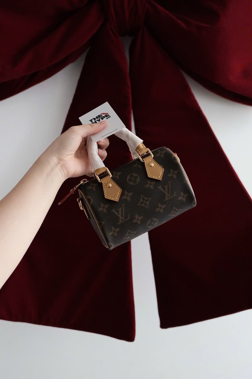 TÚI LOUIS VUITTON LV NANO SPEEDY (BROWN)