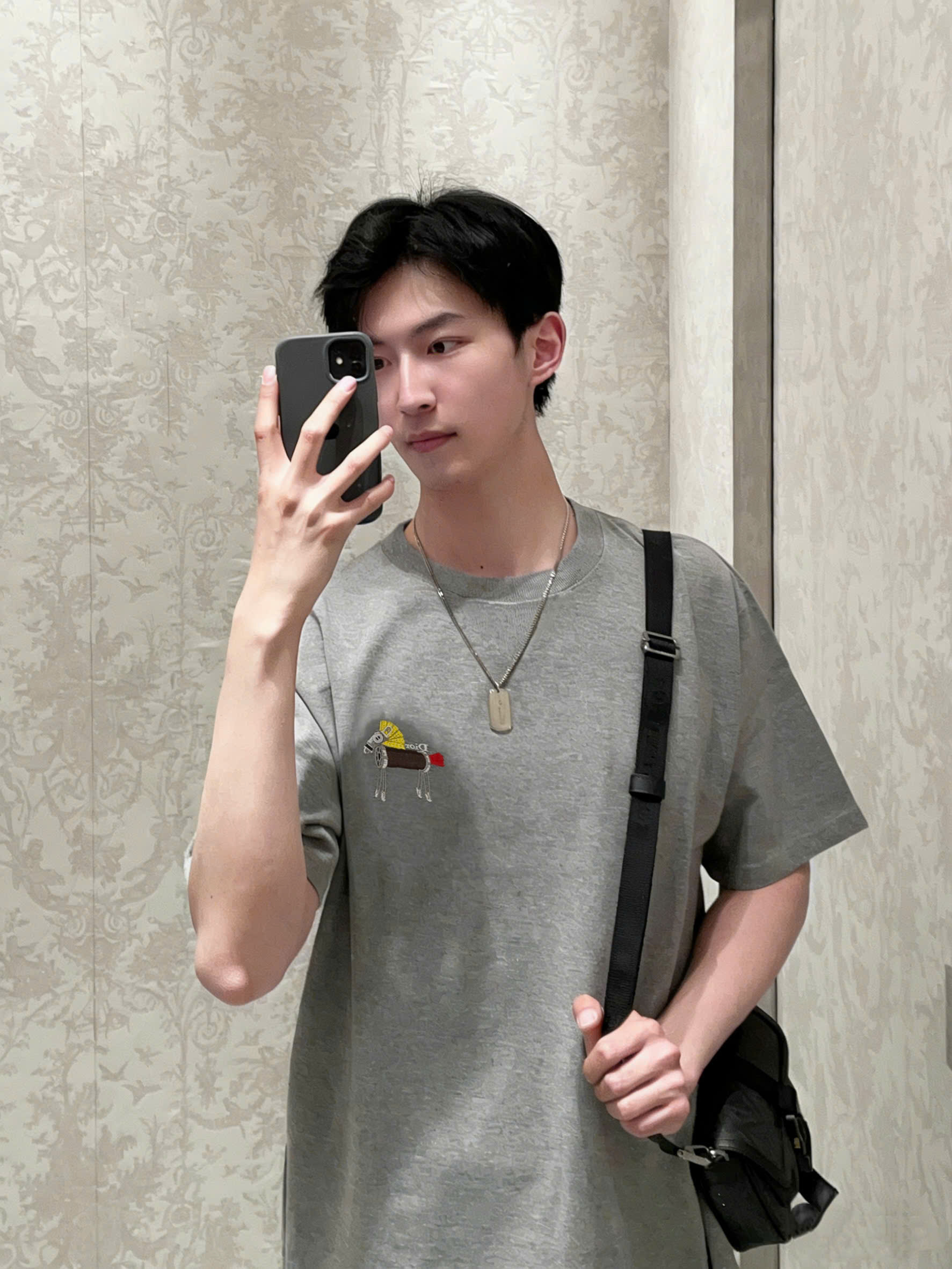 ÁO THUN DIOR WITH HORSE (GREY)