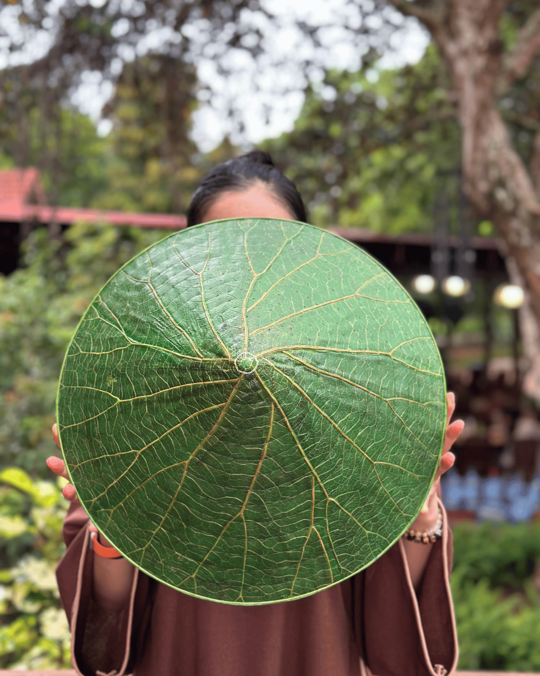 NÓN LÁ SEN VẼ TAY THỦ CÔNG