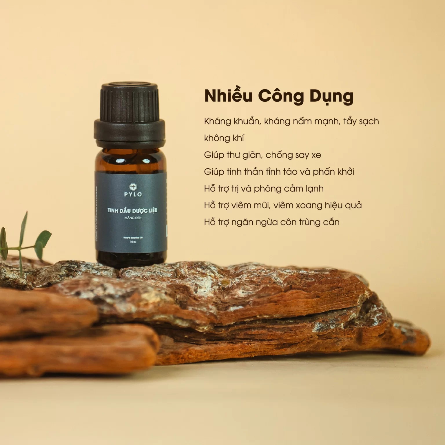 TINH DẦU DƯỢC LIỆU PYLO BẢO VỆ SỨC KHOẺ