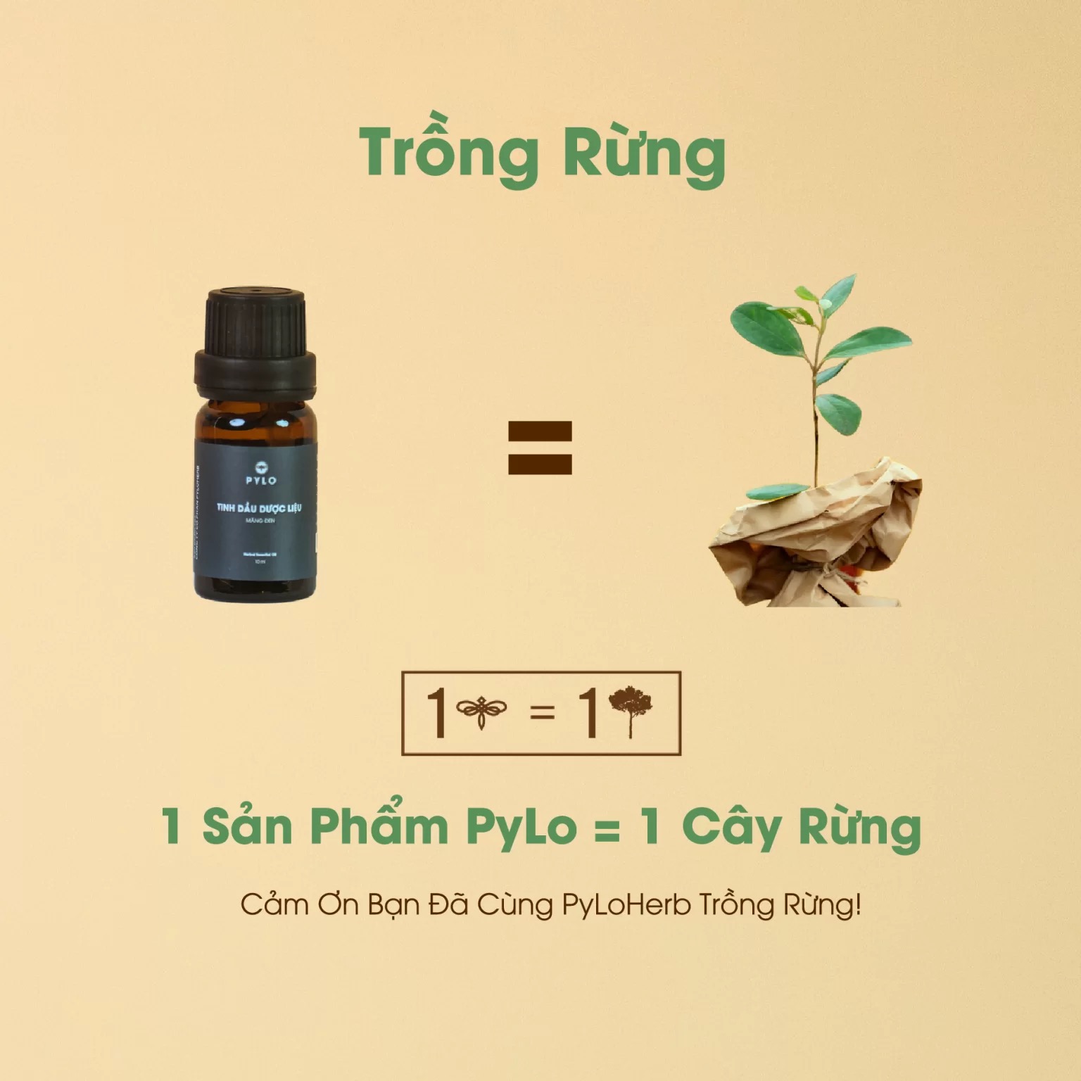 TINH DẦU DƯỢC LIỆU PYLO BẢO VỆ SỨC KHOẺ