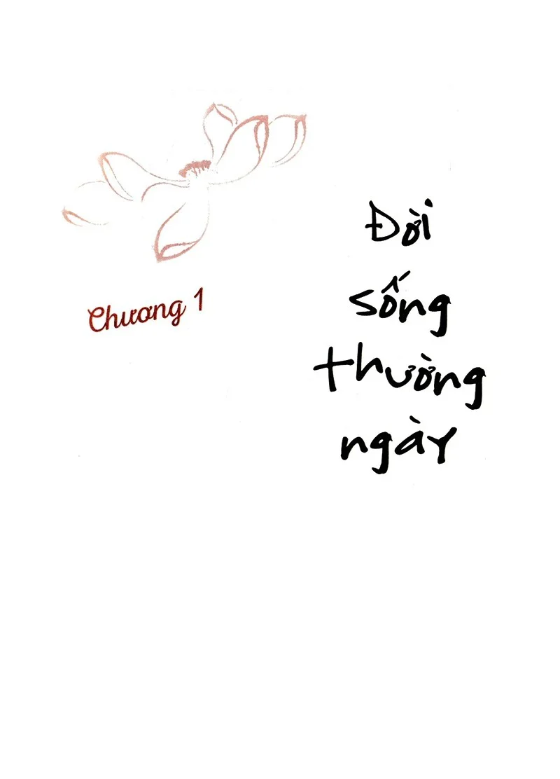 Hỏi đáp từ trái tim - Bìa Cứng