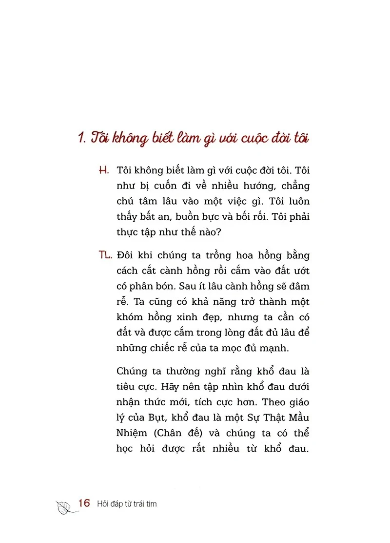 Hỏi đáp từ trái tim - Bìa Cứng