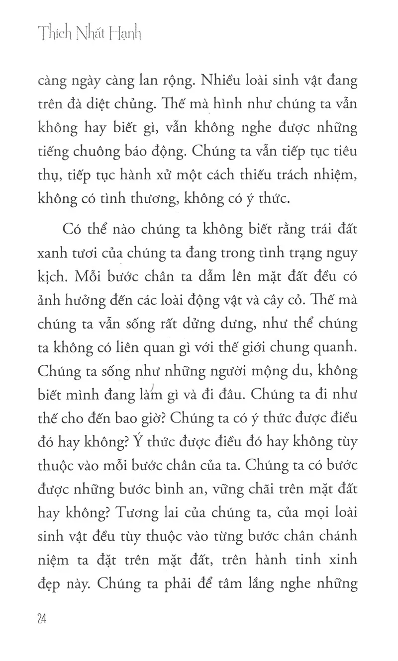 Hướng đi của Đạo Bụt cho hoà bình và sinh môi