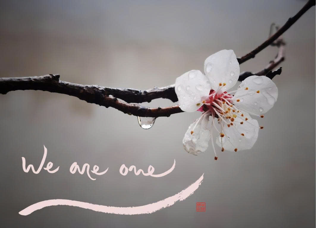 NAM CHÂM THƯ PHÁP DÁN TỦ LẠNH