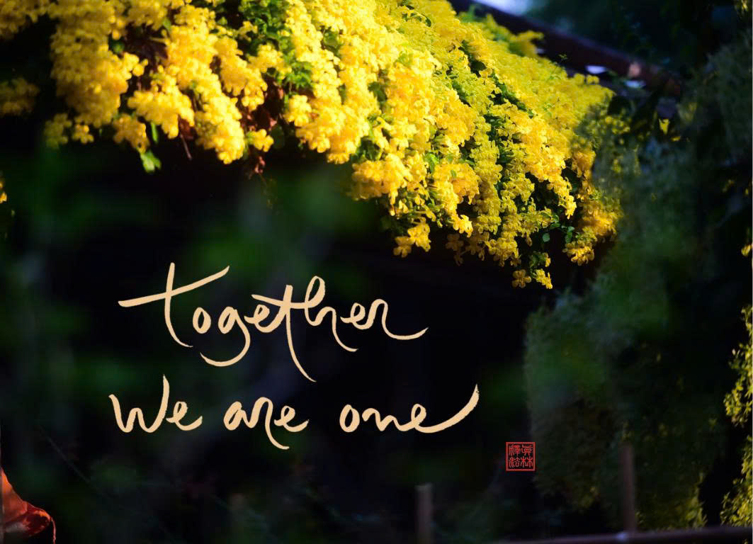 NAM CHÂM THƯ PHÁP DÁN TỦ LẠNH