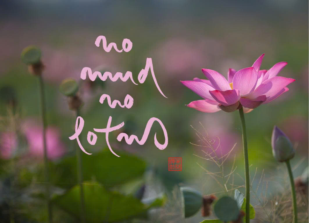 NAM CHÂM THƯ PHÁP DÁN TỦ LẠNH