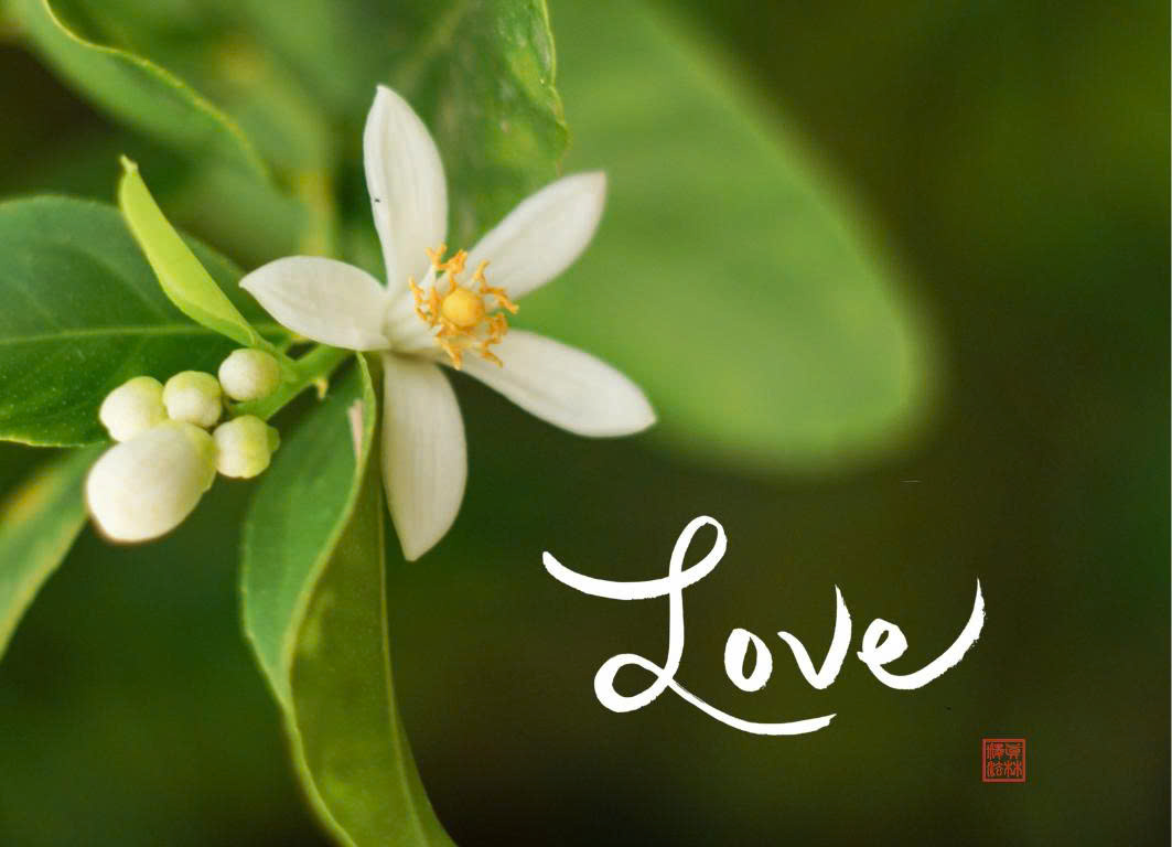 NAM CHÂM THƯ PHÁP DÁN TỦ LẠNH