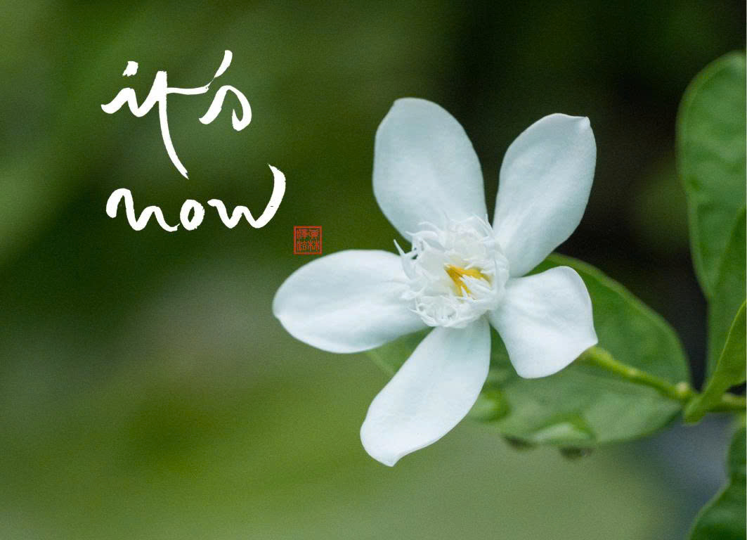 NAM CHÂM THƯ PHÁP DÁN TỦ LẠNH