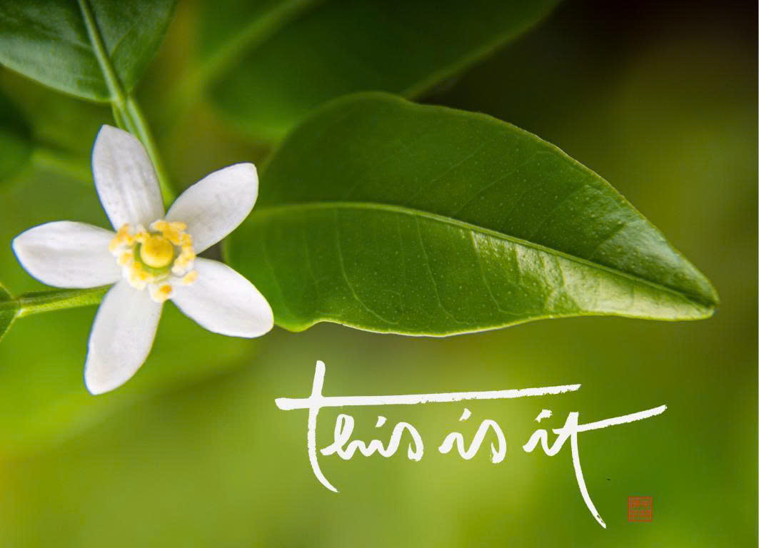 NAM CHÂM THƯ PHÁP DÁN TỦ LẠNH