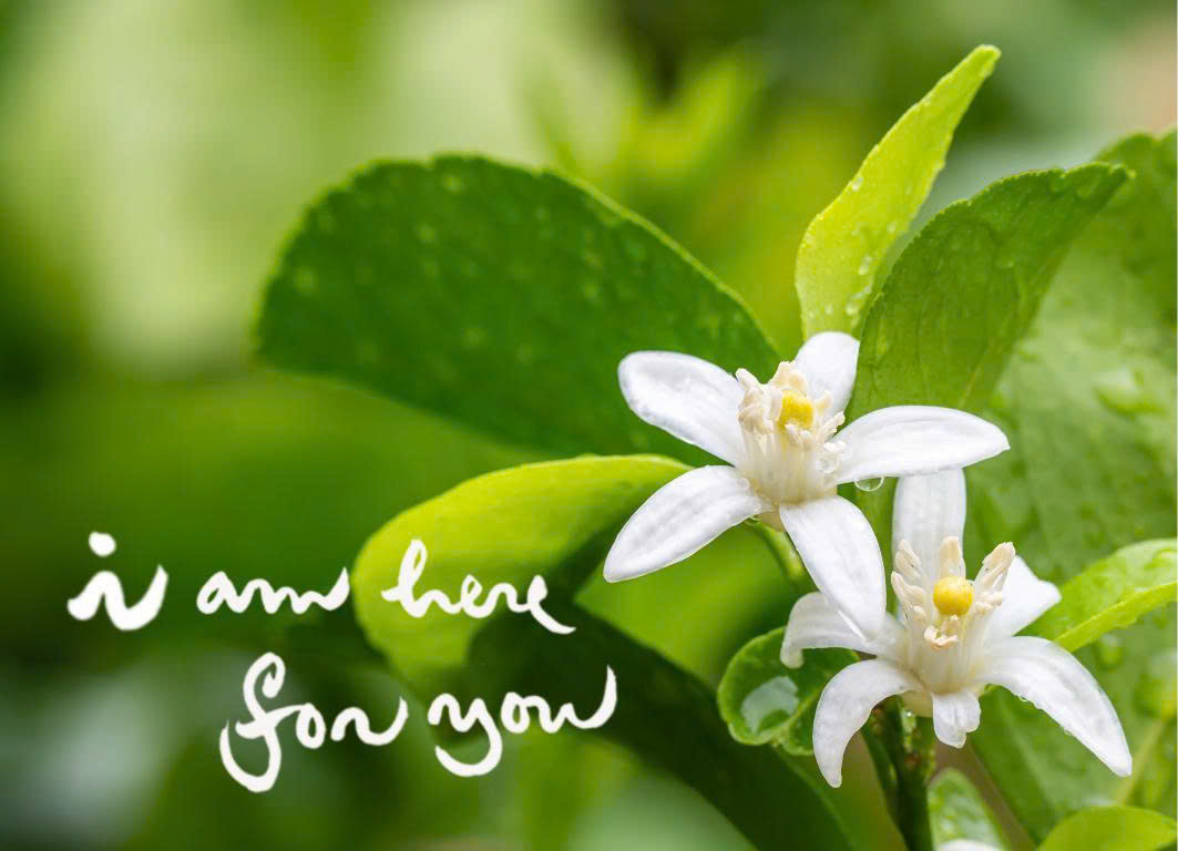 NAM CHÂM THƯ PHÁP DÁN TỦ LẠNH