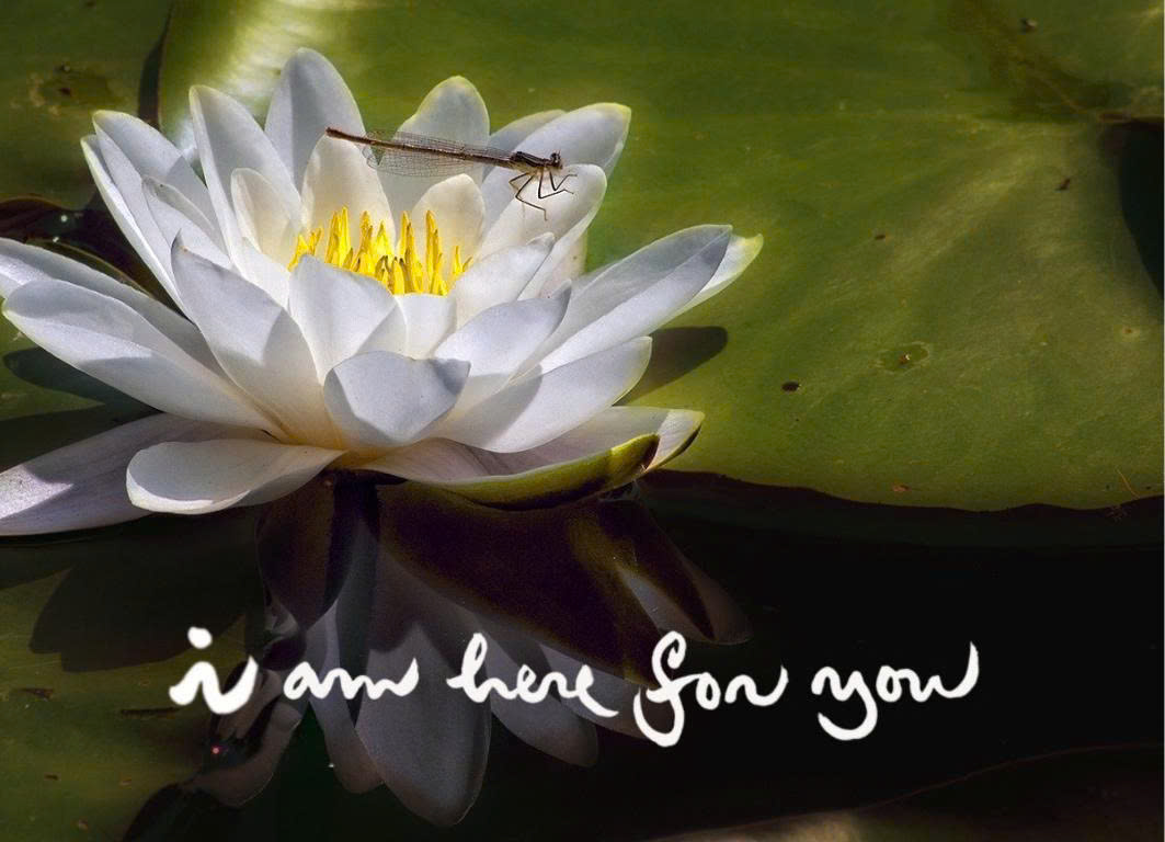 NAM CHÂM THƯ PHÁP DÁN TỦ LẠNH