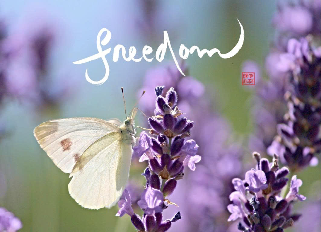 NAM CHÂM THƯ PHÁP DÁN TỦ LẠNH