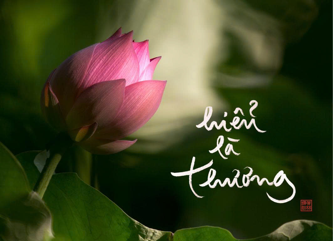 NAM CHÂM THƯ PHÁP DÁN TỦ LẠNH