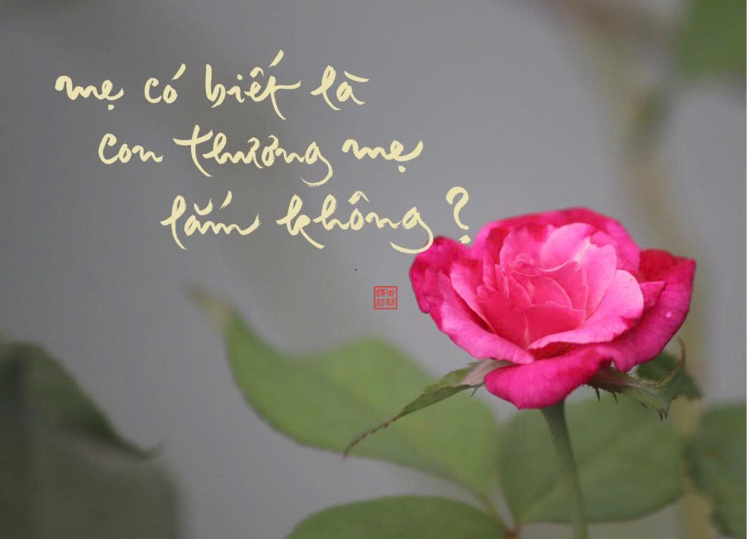 NAM CHÂM THƯ PHÁP DÁN TỦ LẠNH