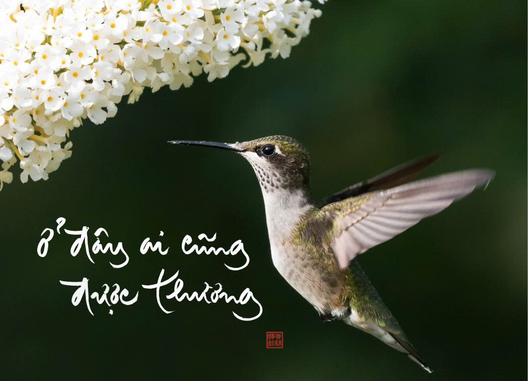 NAM CHÂM THƯ PHÁP DÁN TỦ LẠNH