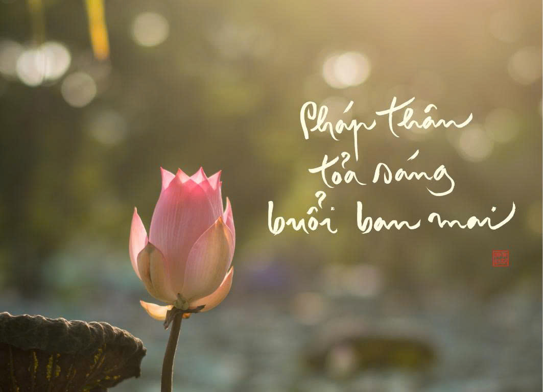 NAM CHÂM THƯ PHÁP DÁN TỦ LẠNH