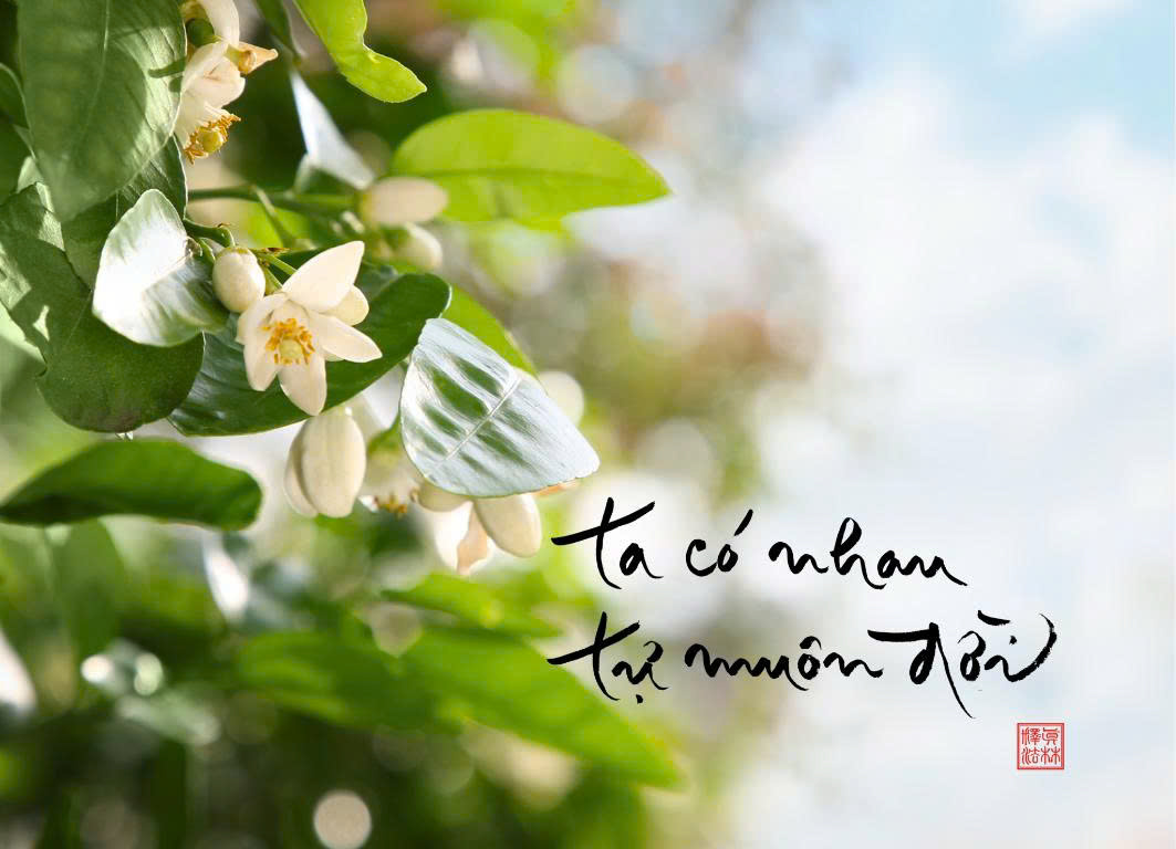 NAM CHÂM THƯ PHÁP DÁN TỦ LẠNH