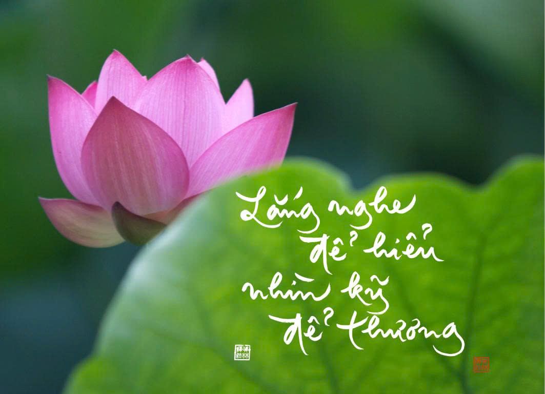 NAM CHÂM THƯ PHÁP DÁN TỦ LẠNH