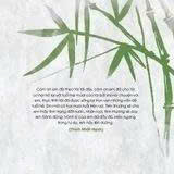 Nói với tuổi hai mươi (Tái bản lần 2)