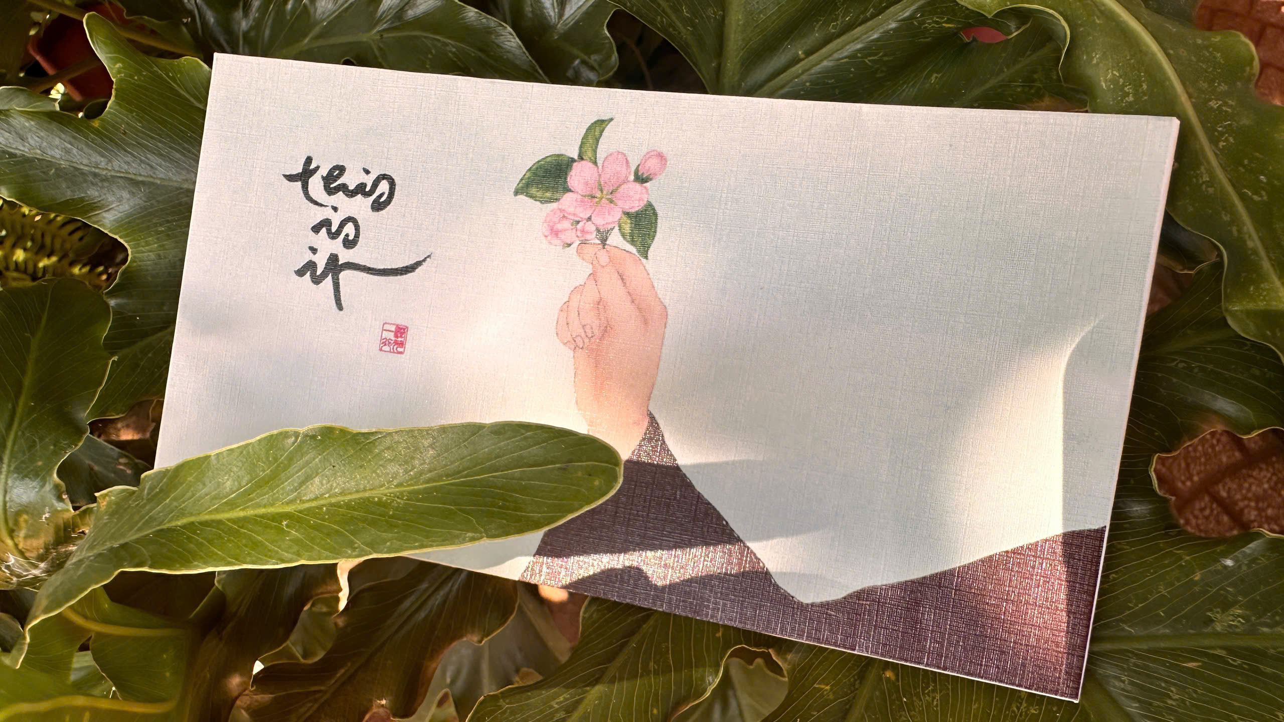 SET 12 BÌ LÌ XÌ / BAO THƯ