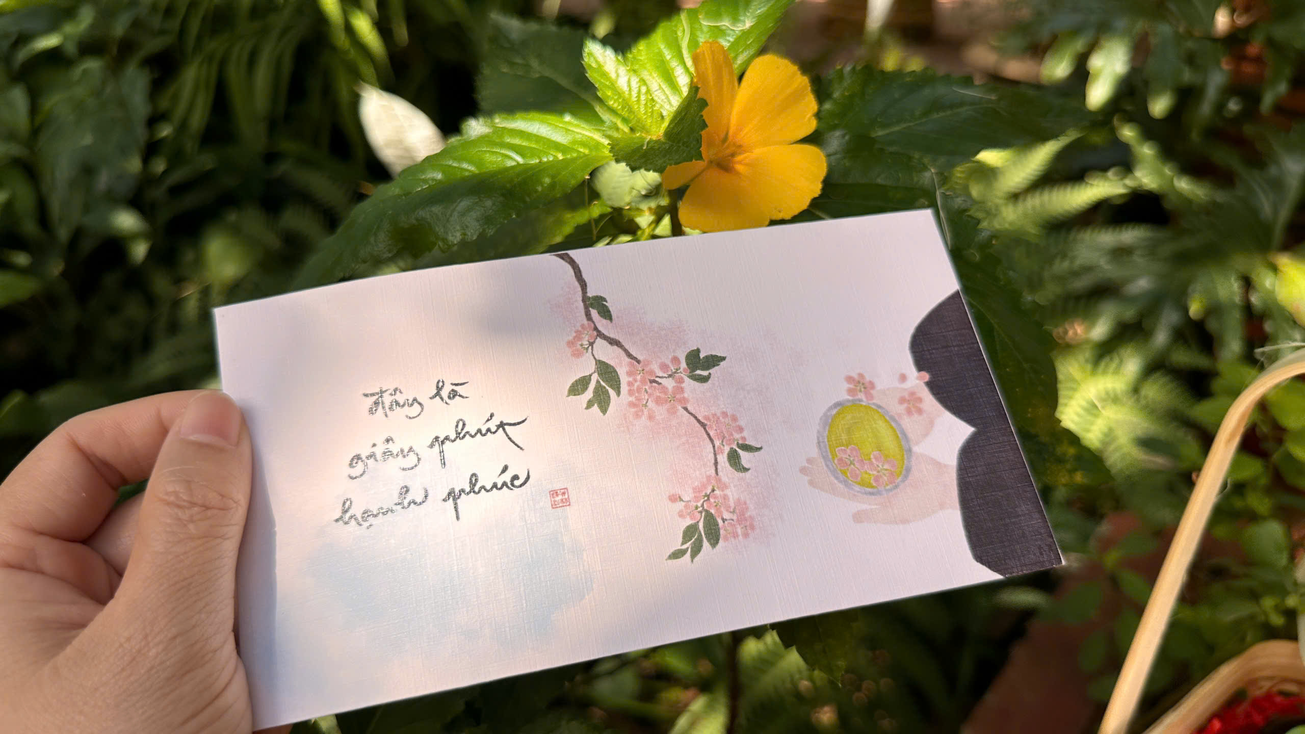 SET 12 BÌ LÌ XÌ / BAO THƯ