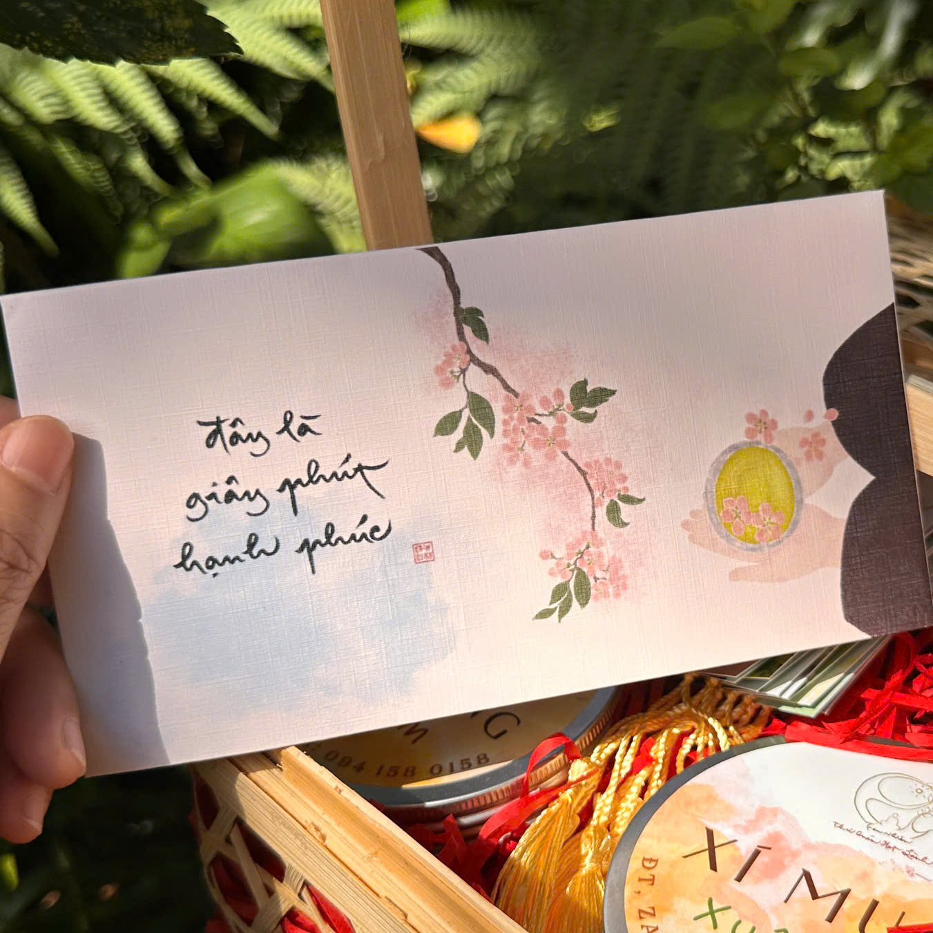 SET 12 BÌ LÌ XÌ / BAO THƯ